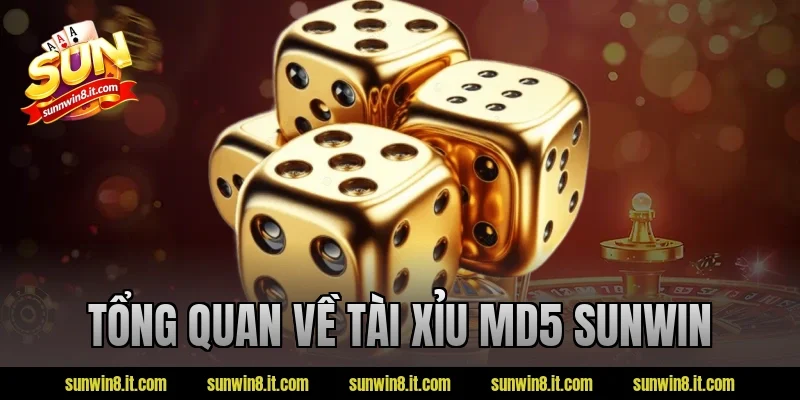 Tổng quan về tài xỉu MD5 Sunwin